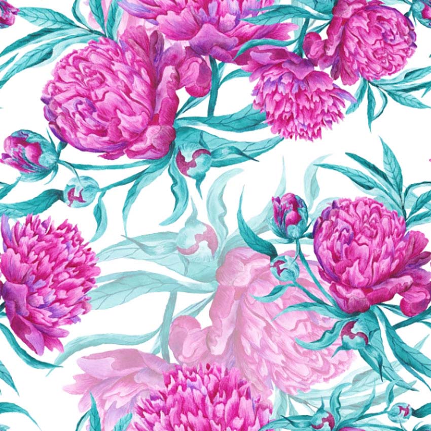 Peony Botanical Illustration