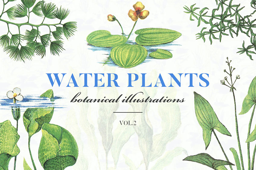 Botanical Art