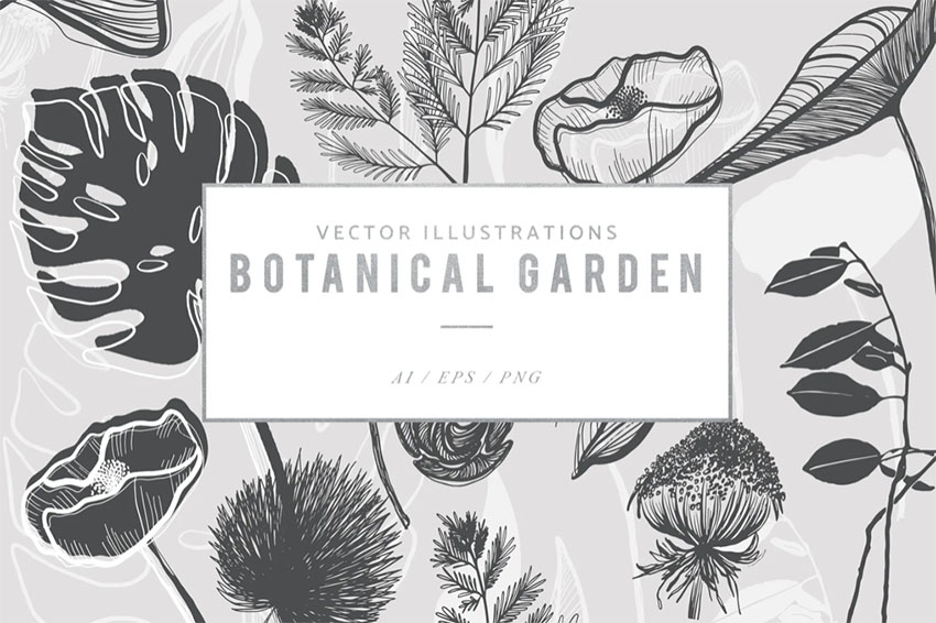 Leaf and Fern Botanical Illustration