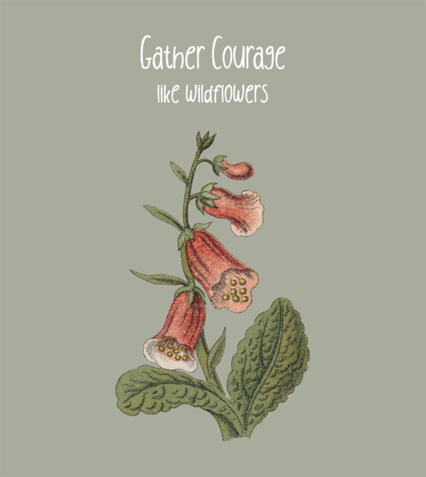Wildflower Botanical Illustration