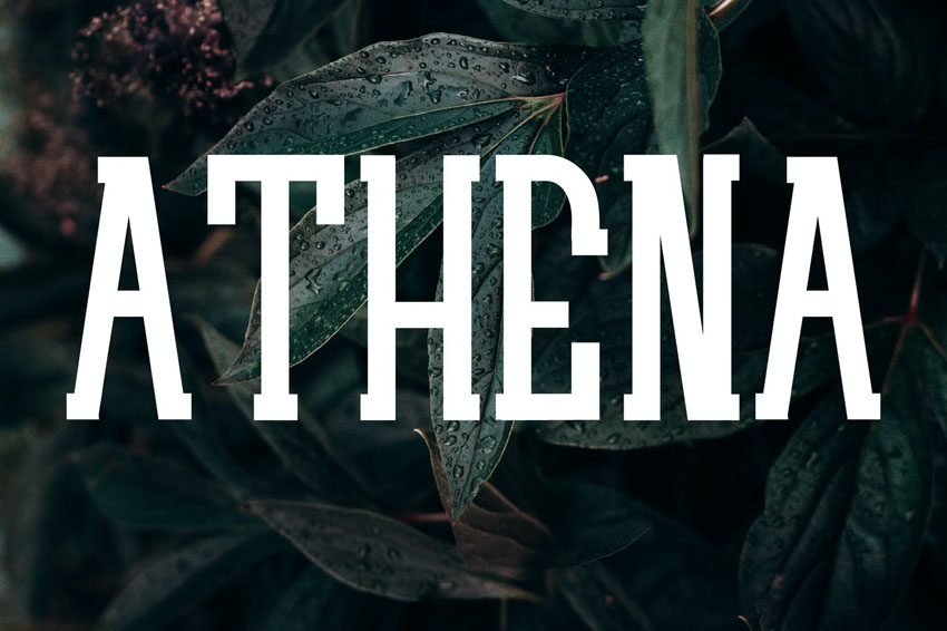 ATHENA Typeface Serif Web Fonts