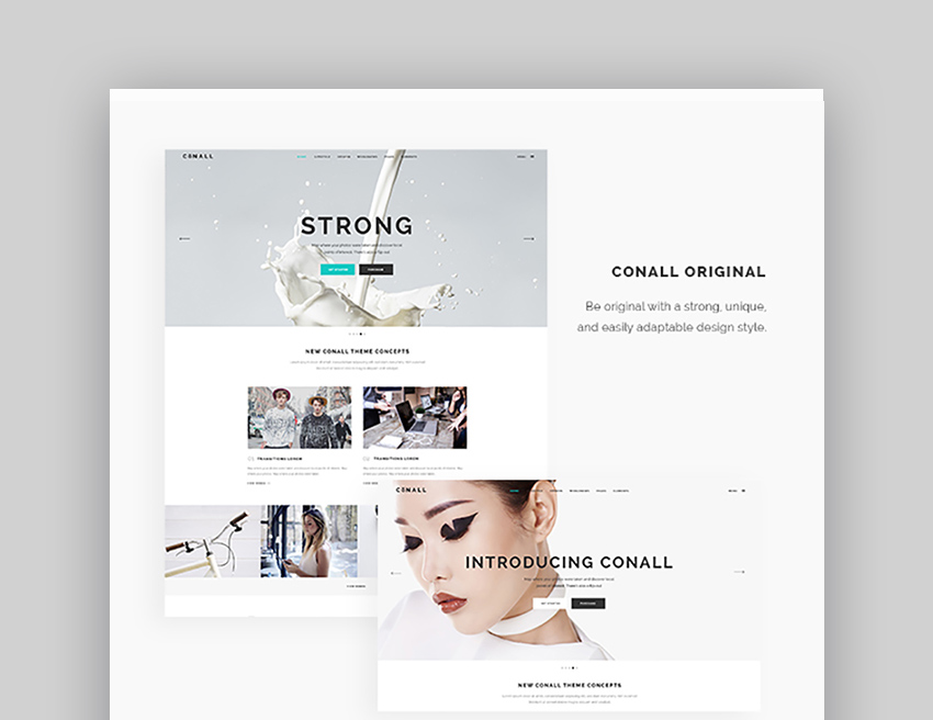 Conall Inspiration WordPress Theme