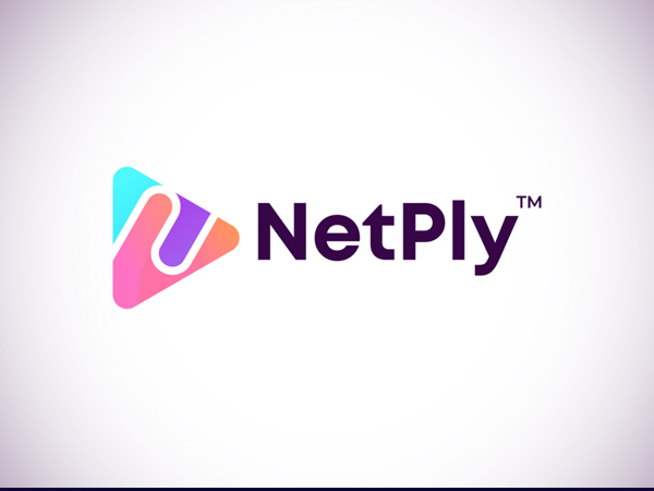 N letter logo for NetPly by GFXhouse