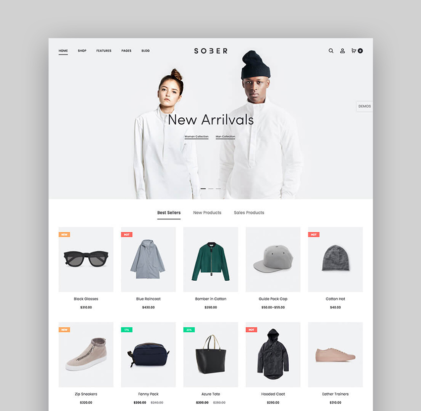 Sober Minimal WooCommerce WordPress Theme With Modern Web Design