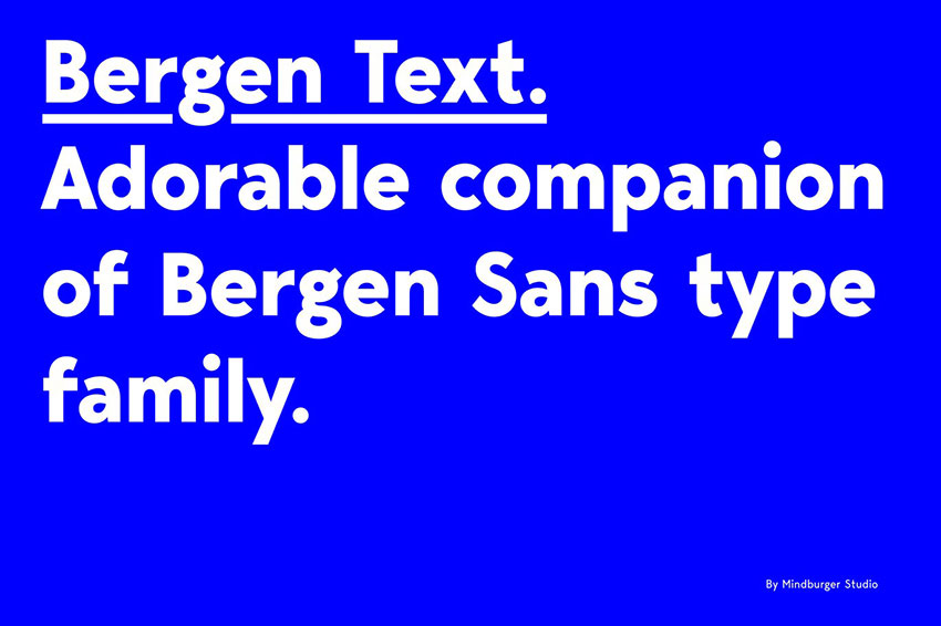 Bergen Text, fonts like Arial