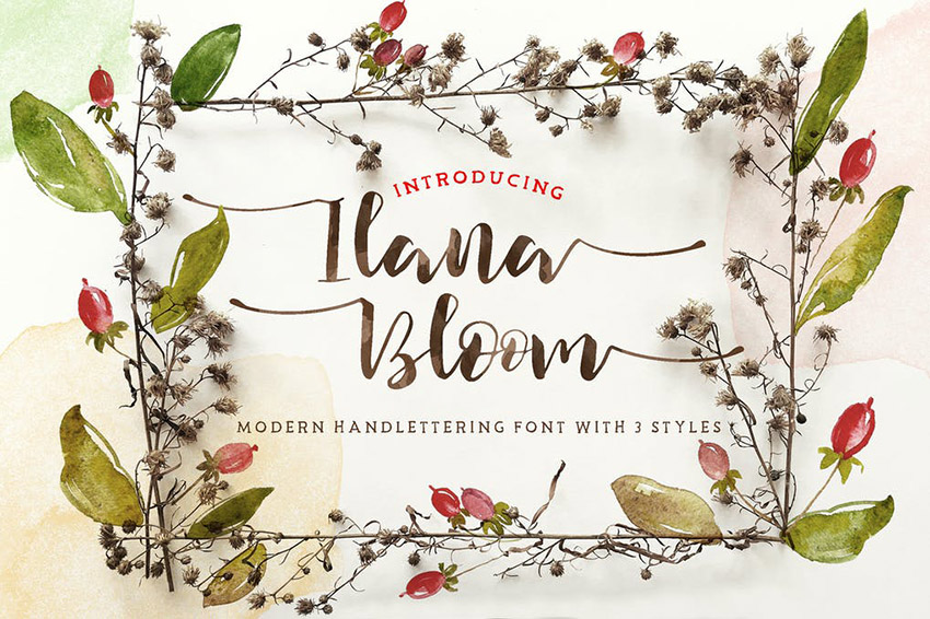 Cursive Calligraphy Hand Lettering Fonts From Envato Elements Ilana Bloom Hand-Drawn Letters