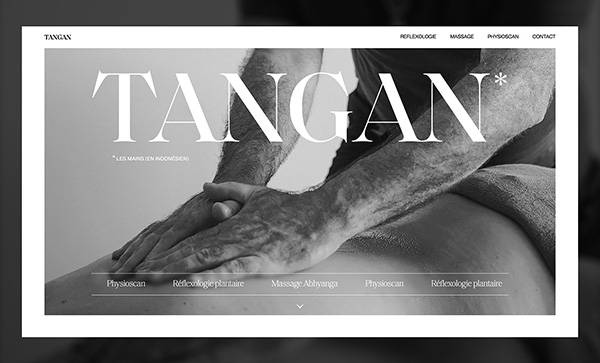 Tangan - Award Winner Web Design Example - 6