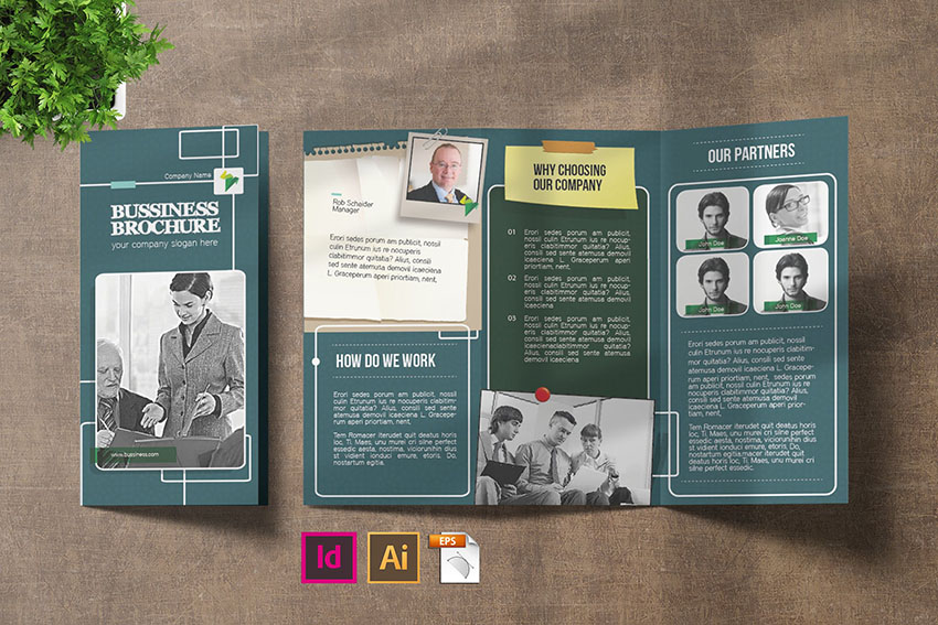 Business Tri-Fold Brochure