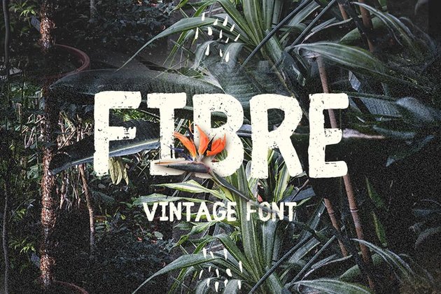 Fibre - Vintage Font