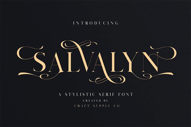 Salvalyn - Stylistic Serif Font