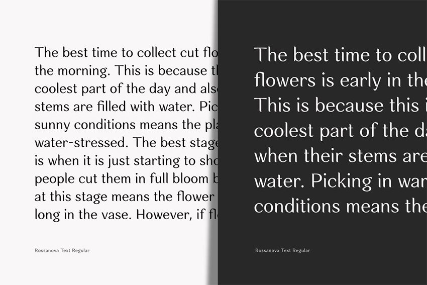 rossanova typeface preety elegant font similar to garamond display large 