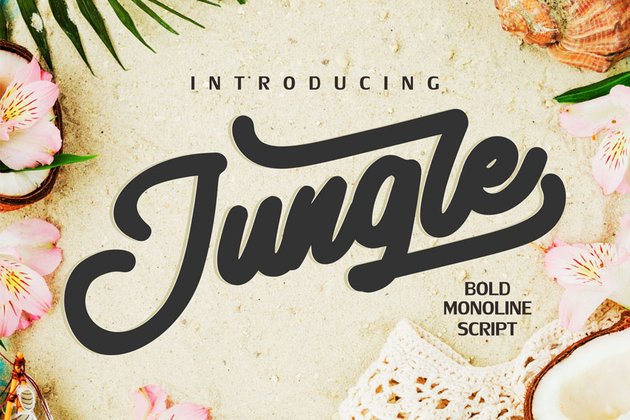 Jungle | Monoline Bold Script