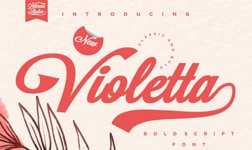 Violetta - Sexy Bold Script Font