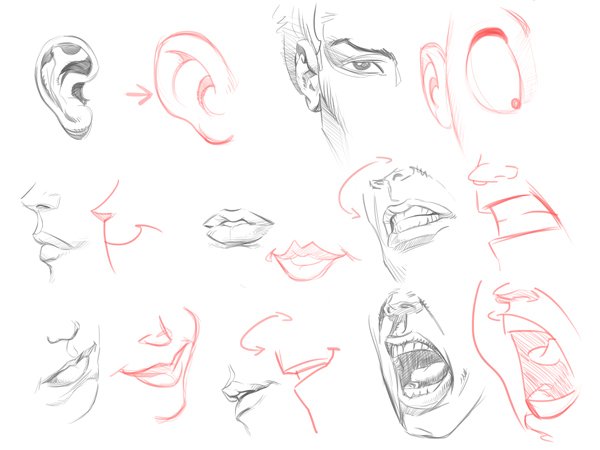 draw a cartoon face tutorial