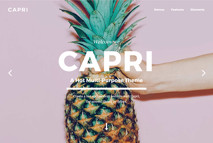 summer website themes capri