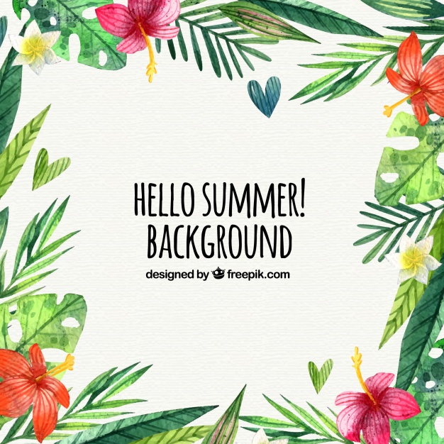 summer website themes background