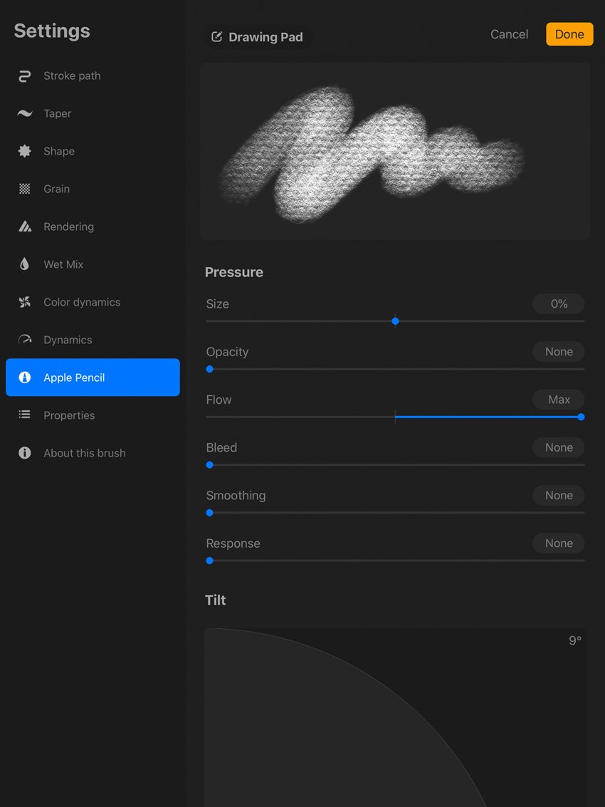 Procreate Apple Pencil Settings