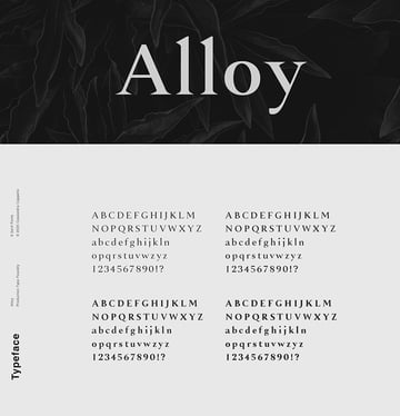 alloy typeface otf format 8 fonts similar to Georgia bold font family georgia