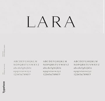 lara otf serif font similar to Georgia font family georgia 