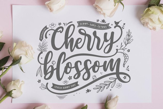 Cherry Blossom Sans Script Font