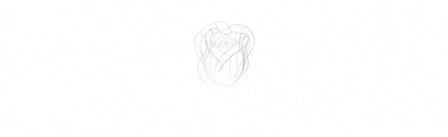 How to Draw a Rose With Pencil Tutorial rose petals