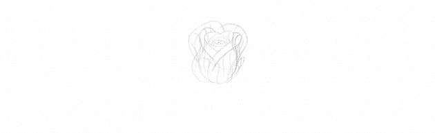 How to Draw a Rose With Pencil Tutorial rose sketch in perspective