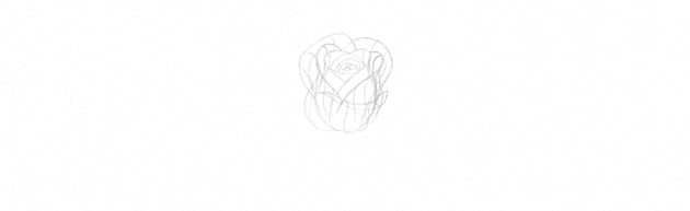 How to Draw a Rose Step by Step Tutorial draw rose petals in perspective