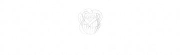 How to Draw a Rose Step by Step Tutorial draw rose petals in perspective