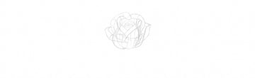How to Draw a Rose Step by Step Tutorial half blown rose