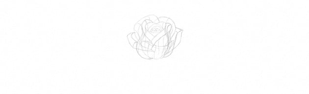 How to Draw a Rose Step by Step Tutorial half blown rose