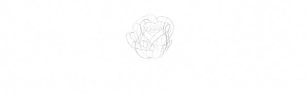 How to Draw a Rose Step by Step Tutorial add petals to a rose