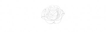 Rose Illustration Tutorial add rose petals step by step