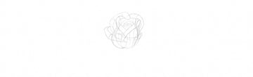 How to Draw a Rose Step by Step Tutorial add petals to a rose