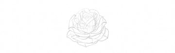 How to Draw a Rose Step by Step Tutorial finish rose petals