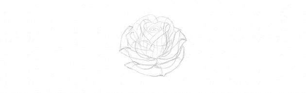 How to Draw a Rose Step by Step Tutorial sketch rose petals