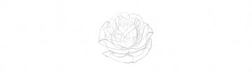 How to Draw a Rose Step by Step Tutorial sketch rose petals