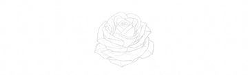 How to Draw a Rose With Pencil Tutorial rose petals