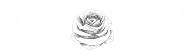 How to Draw a Rose With Pencil Tutorial shade rose