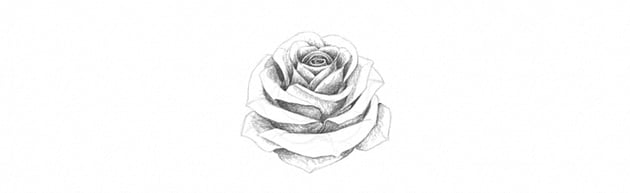 How to Draw a Rose With Pencil Tutorial shade rose