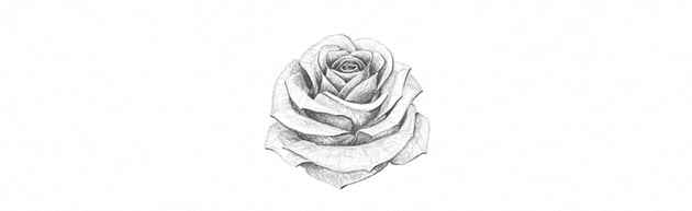 How to Draw a Simple Rose Tutorial shade a white rose