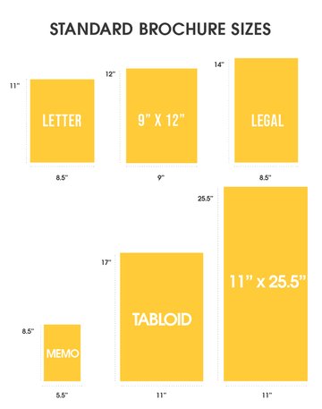 standard brochure sizes dimensions letter legal memo tabloid