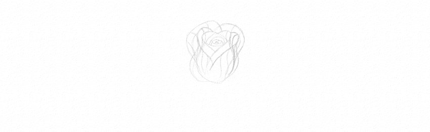 How to Draw a Rose With Pencil Tutorial rose petals