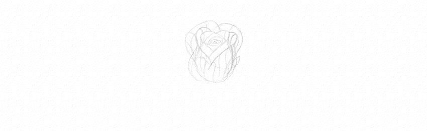 How to Draw a Rose With Pencil Tutorial rose sketch in perspective