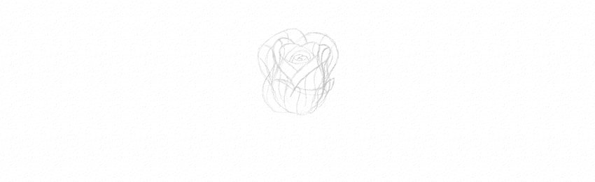 How to Draw a Rose Step by Step Tutorial draw rose petals in perspective