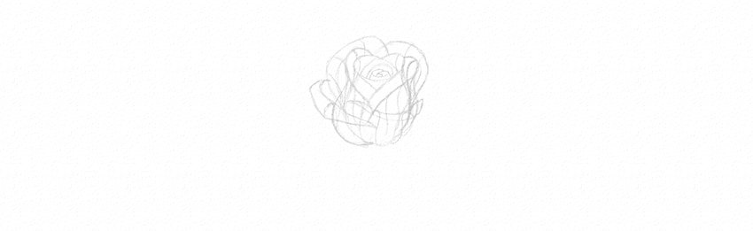 How to Draw a Rose Step by Step Tutorial add petals to a rose