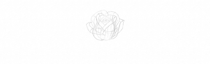 How to Draw a Rose Step by Step Tutorial half blown rose