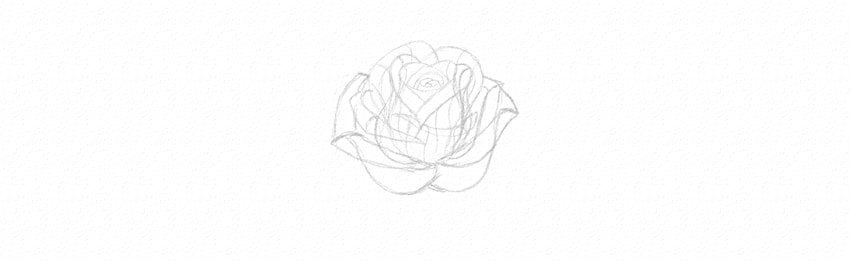 Rose Illustration Tutorial add rose petals step by step