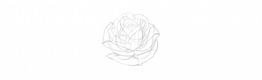 How to Draw a Rose Step by Step Tutorial sketch rose petals