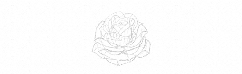 How to Draw a Rose Step by Step Tutorial finish rose petals