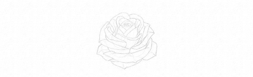 How to Draw a Rose With Pencil Tutorial rose petals